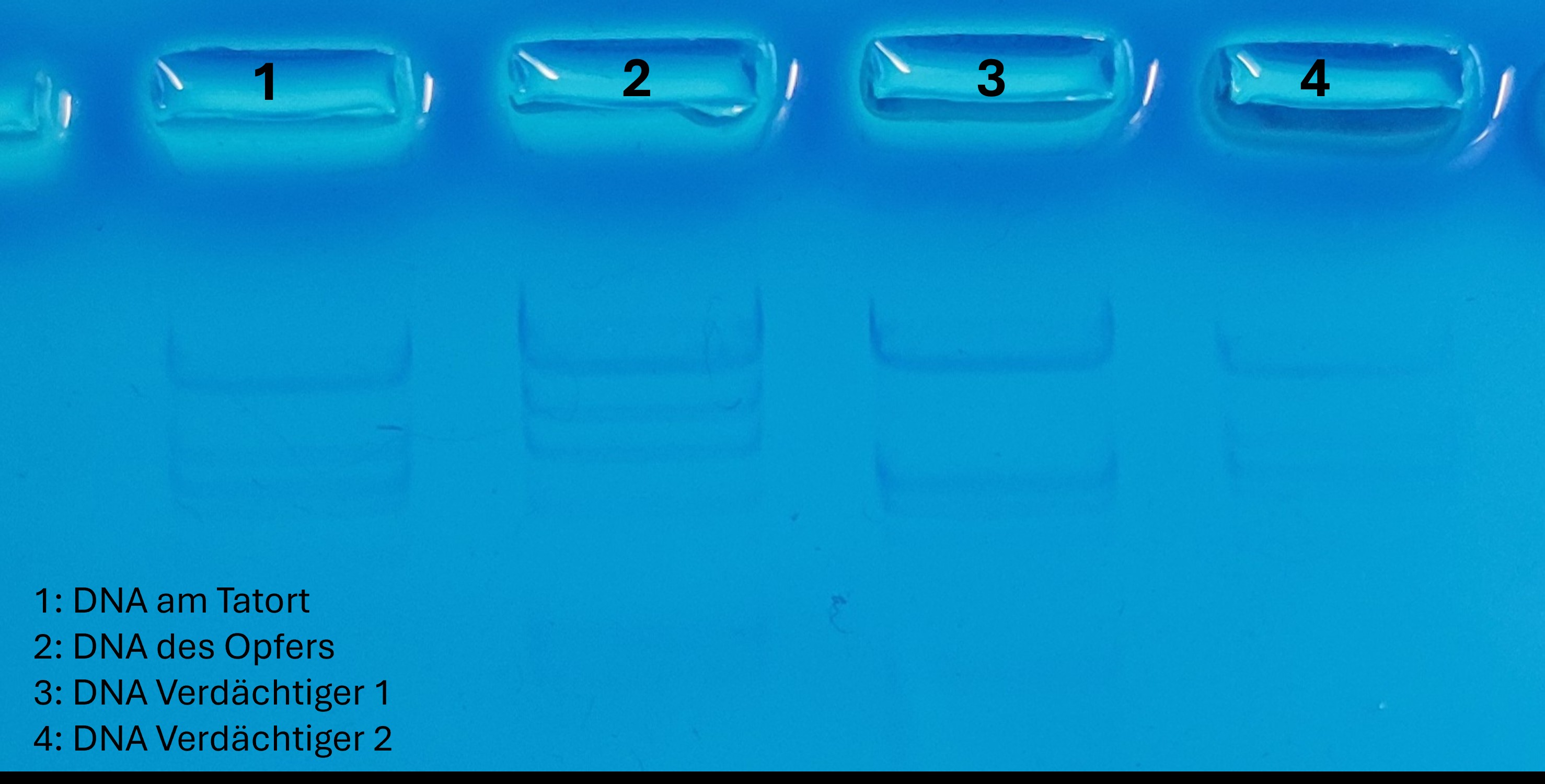 CSI Neutraubling Gelfoto